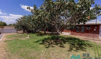 1303 Chico St, Carlsbad, NM 88220