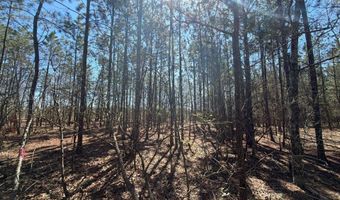 Bhl 10 Boise Cascade Bhl 10, Bethune, SC 29009