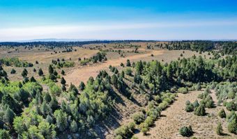 TBD Sadorus Hill Rd, Ashton, ID 83420