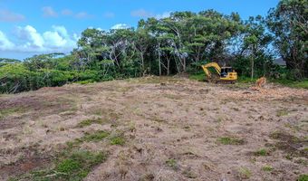 3310 WAWAE Rd, Kalaheo, HI 96741