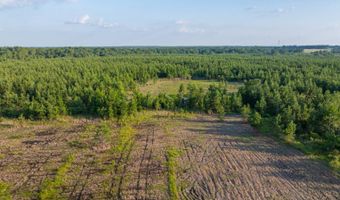 Mann Road, Arabi, GA 31712