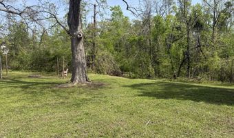 407 W Main St, Blue Mountain, MS 38610