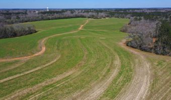 0 Tervin Mill Rd, Andalusia, AL 36421