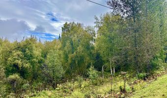 17261 N Rock Rose Ln, Chickaloon, AK 99674