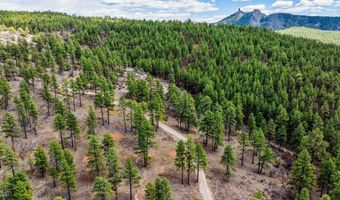 20861 Hwy 160, Bayfield, CO 81122
