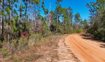 Grand Mesa Avenue, Alford, FL 32420