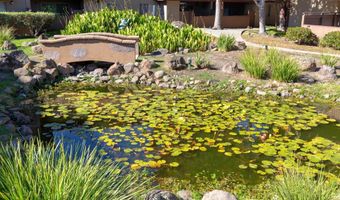 1311 Webster St E316, Alameda, CA 94501