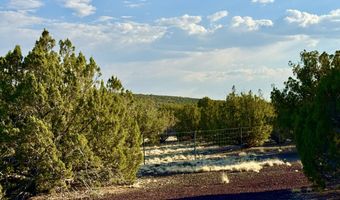 37 Co Rd N8174 10.1 Acres, Concho, AZ 85924