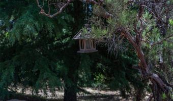 39875 Bautista Rd, Anza, CA 92539