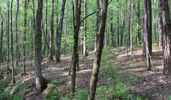 Ruffner Road 00, Barnesville, GA 30204
