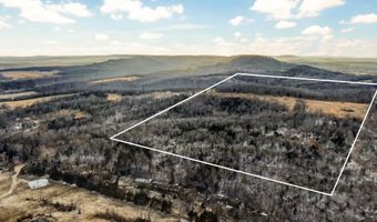 208 Cabin Rd, Ava, MO 65608