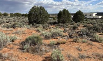 1152 E Red Sage Ln, Apple Valley, UT 84737