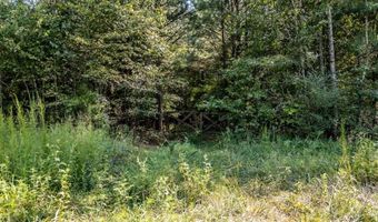 0 Clement Rd, La Fayette, GA 30728