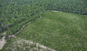 4601 Seven Pines Rd Lot 4 & 1, Barnwell, SC 29812