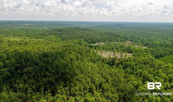 Joe Hall Road, Bay Minette, AL 36507