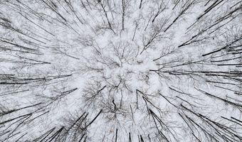 7438 Afton Rd, Afton, MI 49705