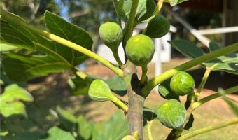 2946 County Road 15, Bankston, AL 35542