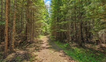 NKA Wandering Wolf Ridge Lot 3, Clark Fork, ID 83811