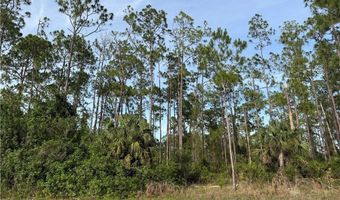 2202 Truman Ave, Alva, FL 33920