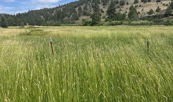 680-550 Butte Creek Rd, Adin, CA 96006