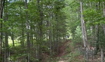 Fritz Run Rd, Ballard, WV 24918