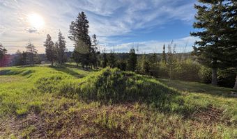 NHN Renegade Road, Anaconda, MT 59711
