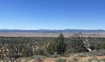 295 Old Deputy Shortline, Ash Fork, AZ 86320