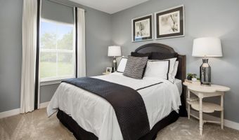 30500 Indigo Way Plan: Savannah with Basement, Georgetown, DE 19947