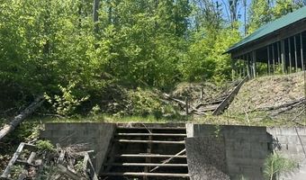 5436 Valley Rd, Alanson, MI 49706