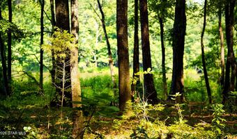 Cypress Pointe Drive lot 9, Brooksville, MS 39739