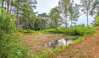 Tract 1 Highway 99, Anderson, AL 35610