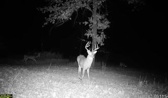 14782 County Road 7990, Bakersfield, MO 65609