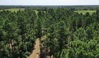 80 N4130 Rd, Antlers, OK 74523