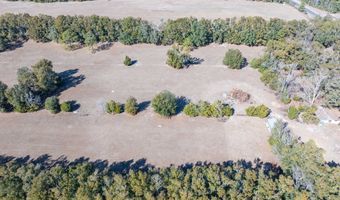 County Road 236 lot 5, Bell, FL 32619