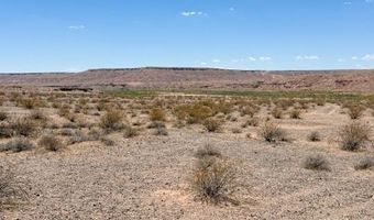 4755 Gold Butte Rd, Bunkerville, NV 89007