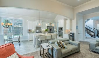 1008 Natalie Ct, Allen, TX 75013