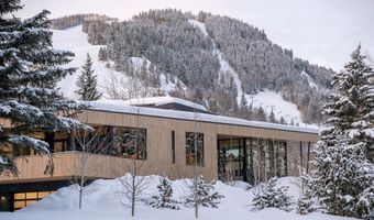 296 Glen Dee Rd, Aspen, CO 81611