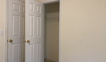 312 Tall Pne, Athens, GA 30605