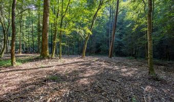 23 59 Ac Chestnut Flats Rd, Andrews, NC 28901