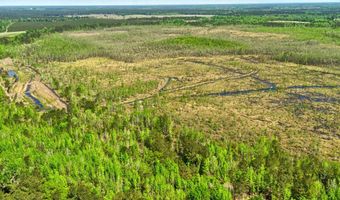 TBD Alligator Road, Bamberg, SC 29843