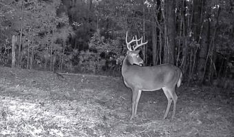Franklin Dr, Batesville, MS 38606