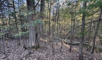 V/L Wildwood Road lot 1, Alger, MI 48610