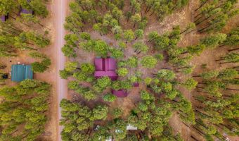 8 County Road 2267, Alpine, AZ 85920