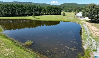6150 SHOAL CREEK Rd 124+/- Acres, Ashville, AL 35953