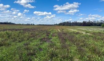 15 Acres Antioch Church Rd, Ashford, AL 36312