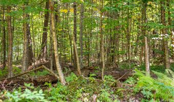 Lot 15-9 Beaver Bog Lane, Abbot, ME 04406