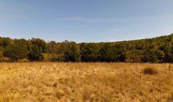 2000 County Road 100, Alton, MO 65606