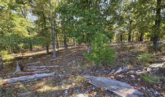 3013-3015 Possum Trot Rd, Ash Flat, AR 72513