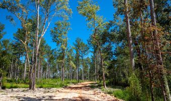 575 Rabbit Pen Dr, Appling, GA 30802