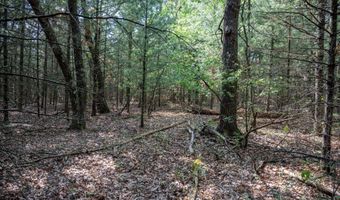 Lot 35 19th Court, Arkdale, WI 54613